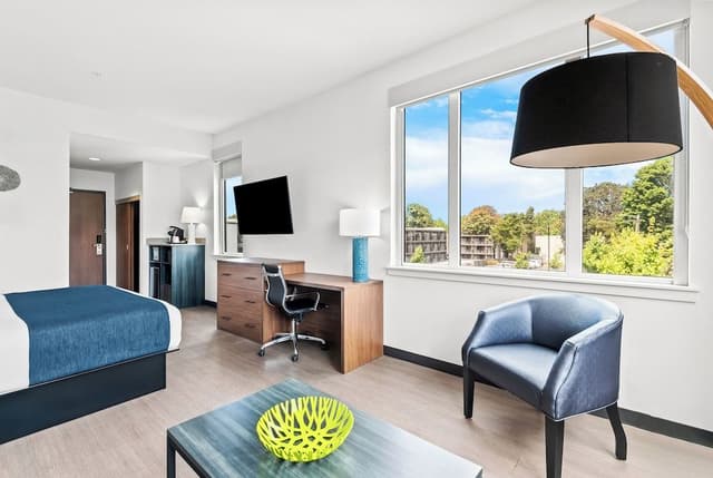 Hayward Pet Friendly Deluxe Room, 1 King bed with Sofa bed