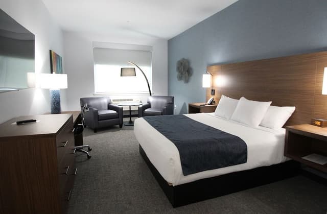 Hayward Room, 1 King Bed