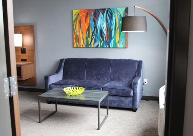 Hayward Pet Friendly Deluxe Room, 1 King bed with Sofa bed