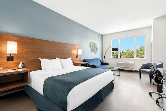 Hayward Pet Friendly Deluxe Room, 1 King bed with Sofa bed