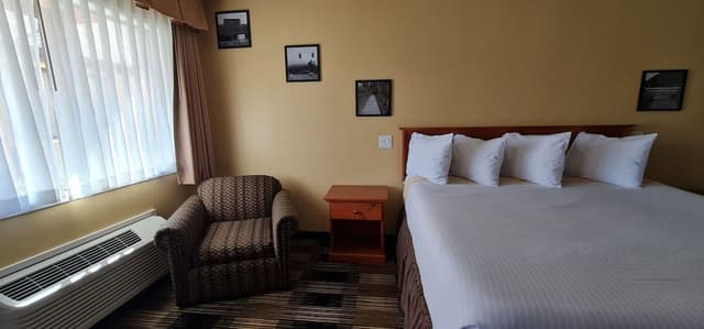 Single Room, 1 King Bed, Accessible