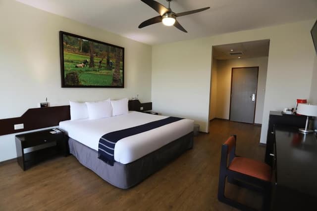 Junior Suite Matrimonial - JMN