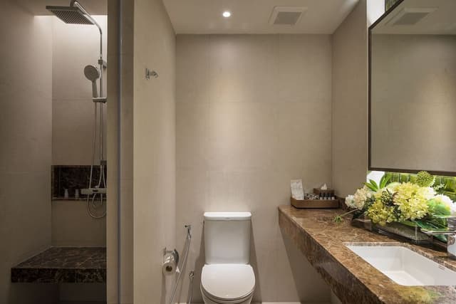 Premier Double Room