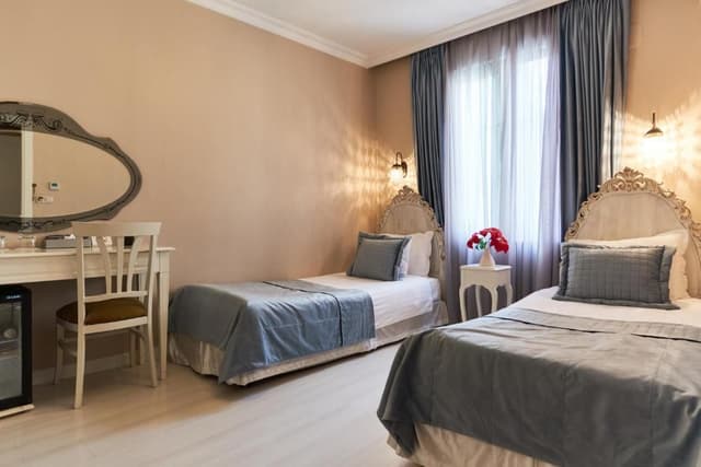 Deluxe Double or Twin Room