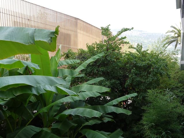 Double Room, Garden View
