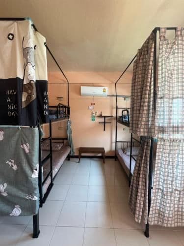 Dorm Premium Mix 4 Sharing