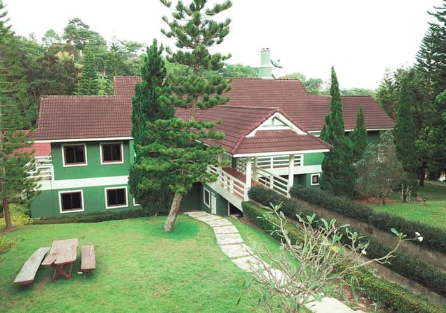 Forest Suite