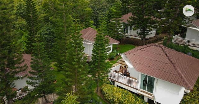 Cliff Cabin