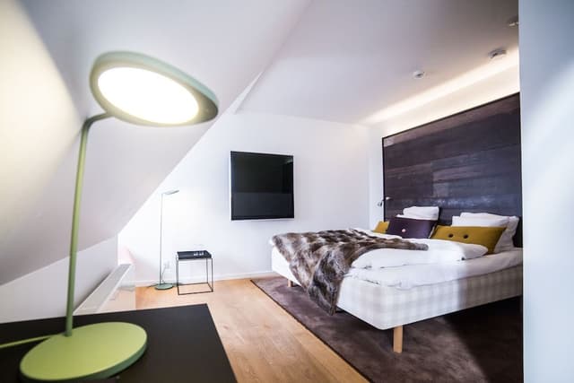 Loft (SPA-access not included)