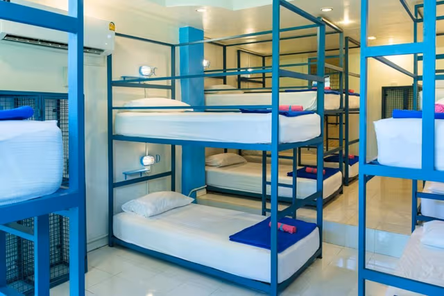 Bed in 12 Bed Mixed Dormitory