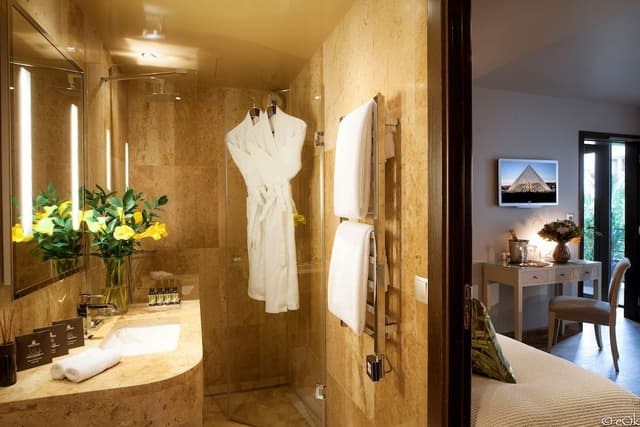 Premium Double or Twin Room