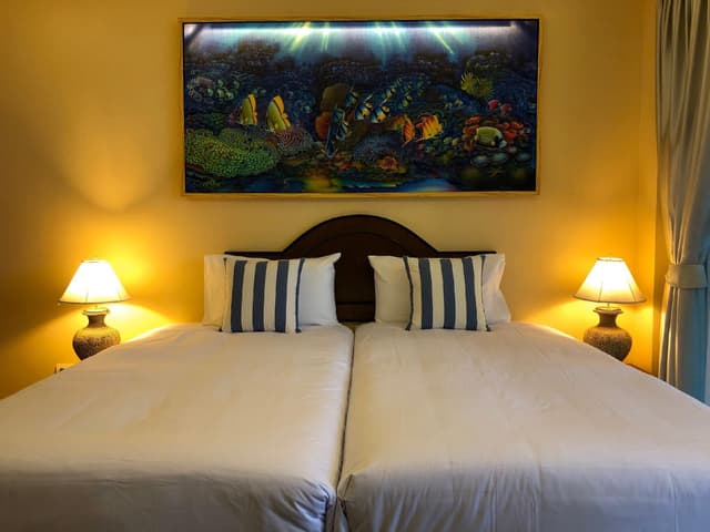 Superior Twin Room