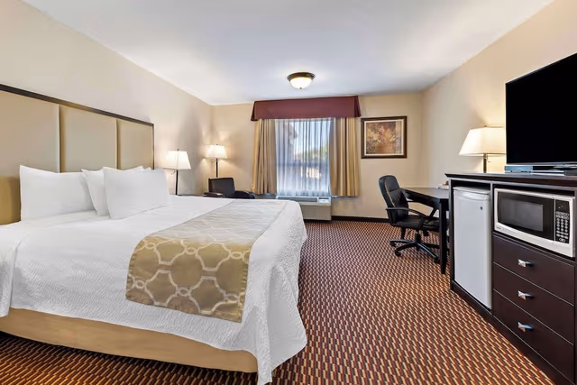 Standard Room, 1 King Bed, Accessible, Non Smoking
