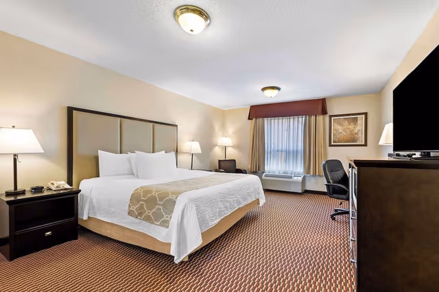 Standard Room, 1 King Bed, Accessible, Non Smoking