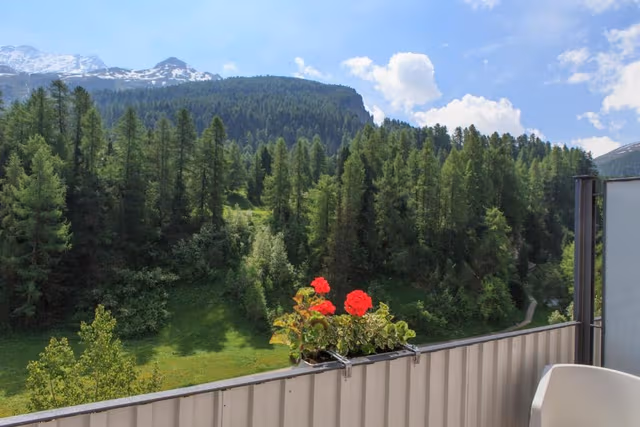 Panorama alpine single room