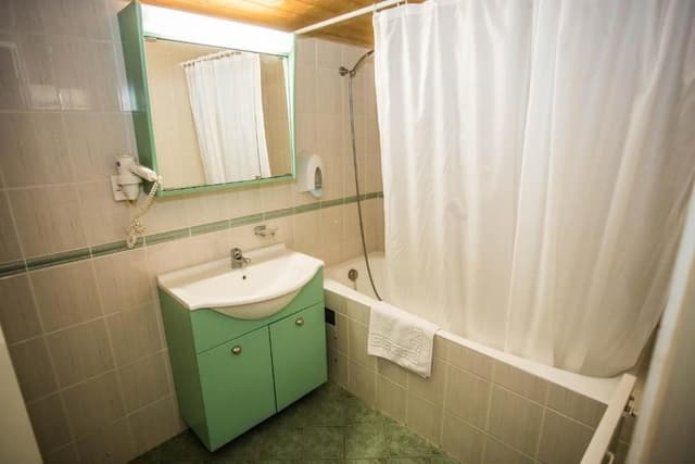 Basic Double or Twin Room, Mountain View