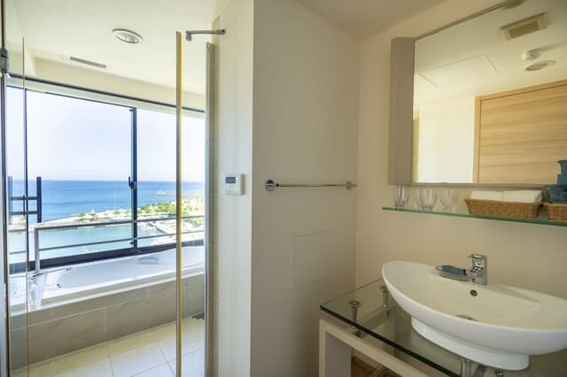 Premium Suite, Non Smoking (4 Pax Use, 5F and Above)