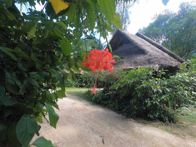 Bungalow