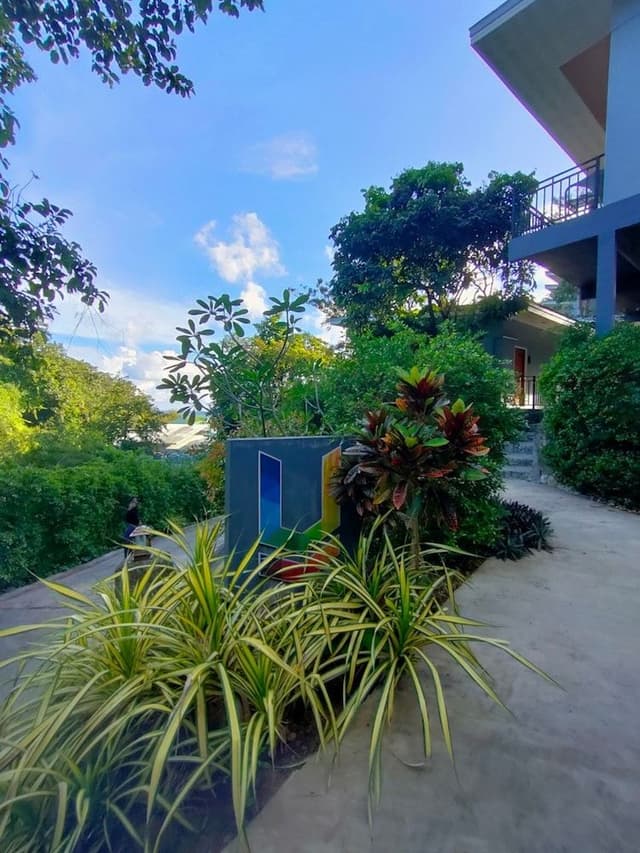 Double Room Mountain view (stair access only)