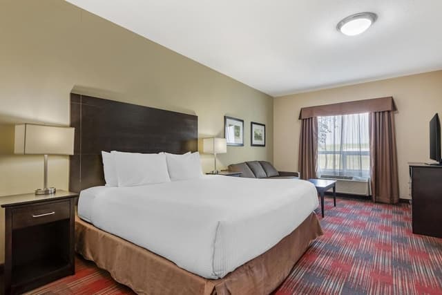 Standard Room, 1 King Bed, Non Smoking, Kitchen