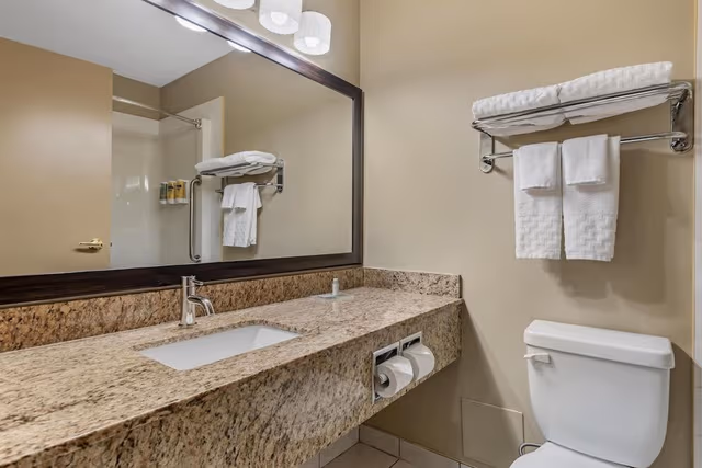 Suite, 1 King Bed, Non Smoking, Refrigerator & Microwave (with Sofabed)