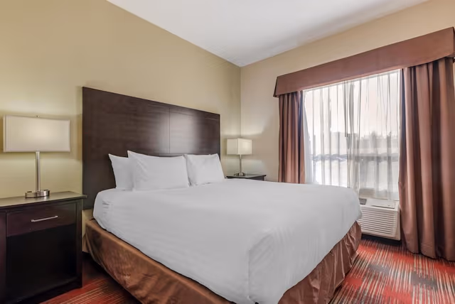 Suite, 1 King Bed, Non Smoking, Kitchenette (with Sofabed)