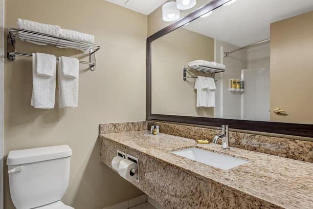 Suite, 1 King Bed, Non Smoking, Jetted Tub (with Sofabed)