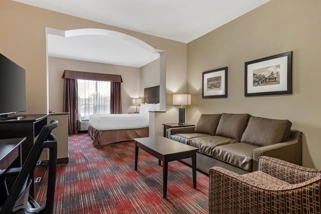 Suite, 1 King Bed, Non Smoking, Refrigerator & Microwave (with Sofabed)