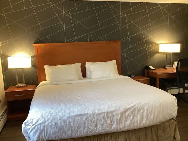 Standard Room, 1 King Bed, Non Smoking, Annex Building (1st Floor;Pet Friendly)