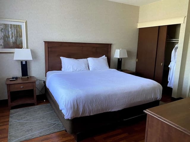 Suite, 1 King Bed, Non Smoking, Jetted Tub (with Sofabed)