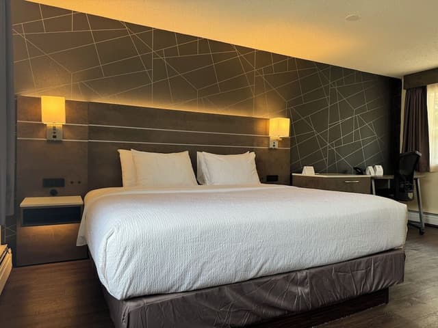 Standard Room, 1 King Bed, Non Smoking, Annex Building (1st Floor;Pet Friendly)