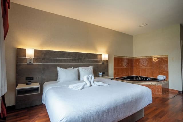 Suite, 1 King Bed, Non Smoking, Jetted Tub (with Sofabed)
