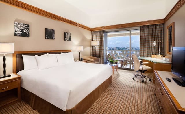 QUEEN EXECUTIVE ROOM