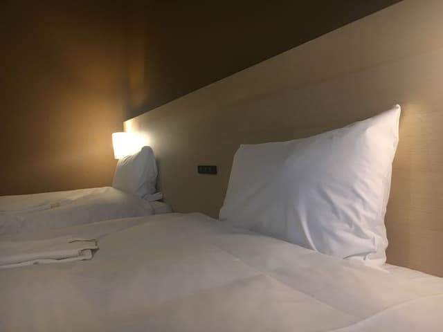 Japanese Style Modern Twin Room [Check-out at 10AM]