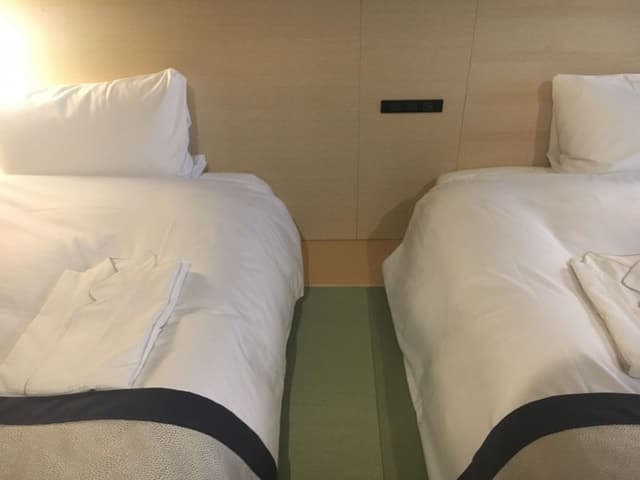 Japanese Style Modern Twin Room [Check-out at 10AM]