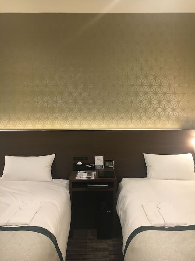 Deluxe Twin Room [Check-out at 10AM]