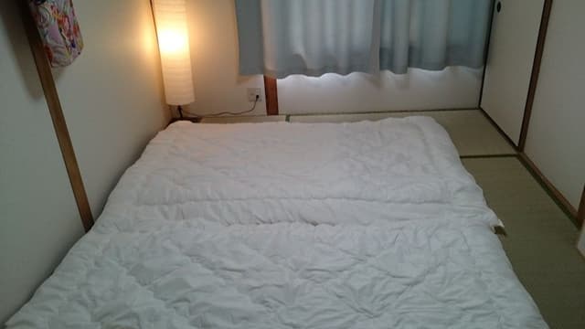 Japanese Style Room (5)