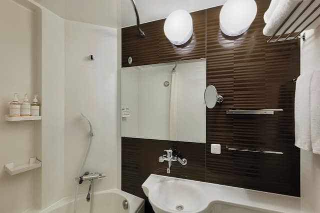 Room, 1 Twin Bed