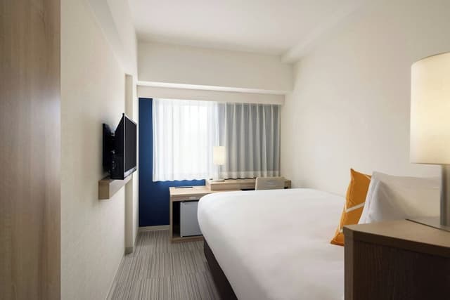 Room, 1 Double Bed