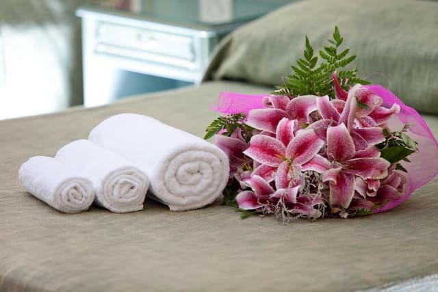 Comfort Single Room