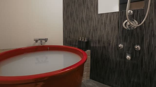 Japanese Style Townhouse