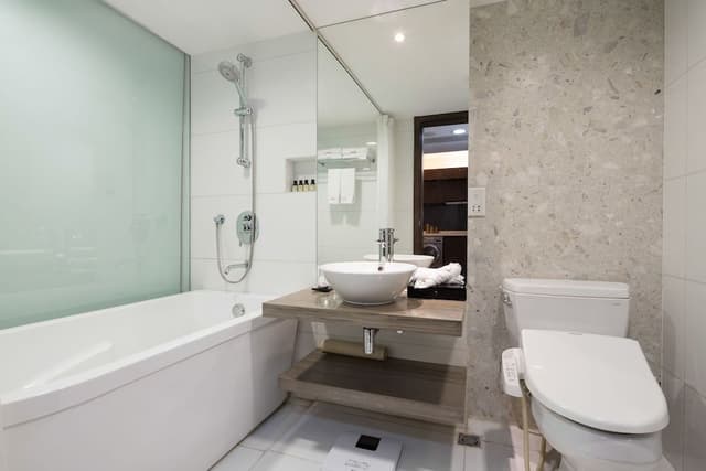 Superior Suite(King)