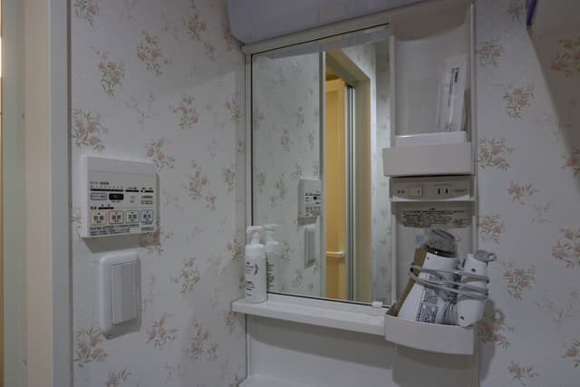 City Room, 1 Double Bed with Sofa bed, Kitchen