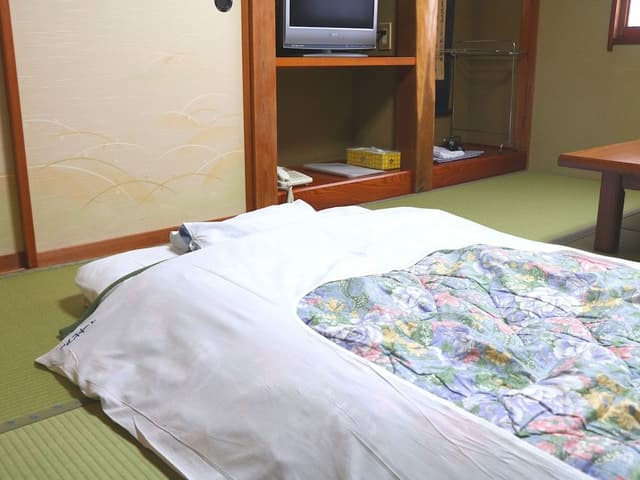 Japanese Style Room for 1 Guest, Non Smoking