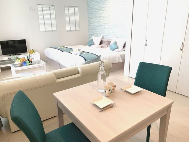 Studio (with Sofa Bed)