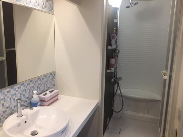 Japanese-Style Standard Room with No View