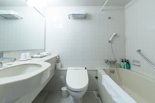 [Non-Smoking] Western Style Junior Suite (Mt. Fuji View)