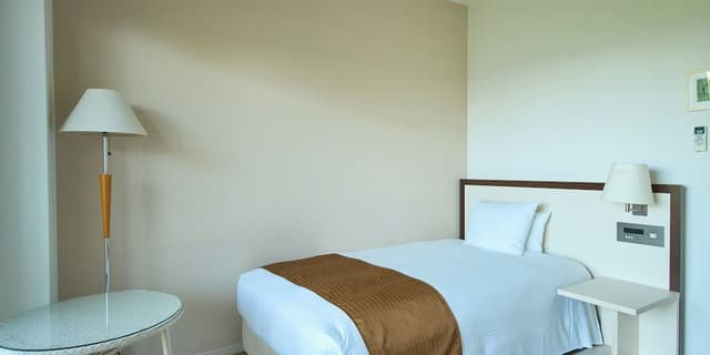 Deluxe Single Room, Non Smoking, Private Bathroom