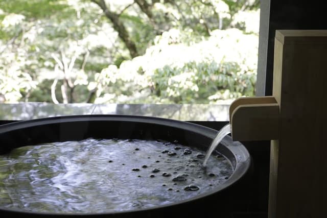 Japanese Twin Room with Open Air Bath, Sukiyaki Dinner Included, Non Smoking
