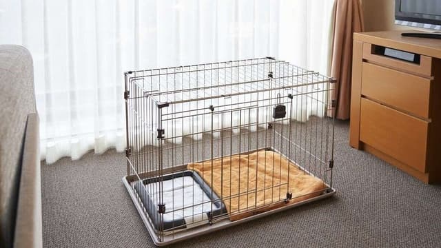 [Western modern suite] 46 square meters, Non Smoking